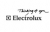 ELECTROLUX ERF2404FOW - Présence électronique